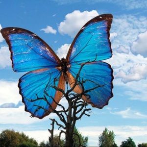 Meet your Posher, Maritza